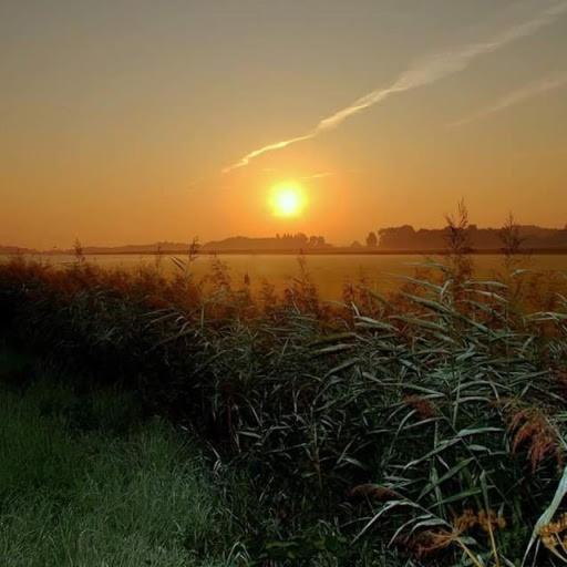 Vita Nova Hippolytushoef Dış mekan fotoğraf